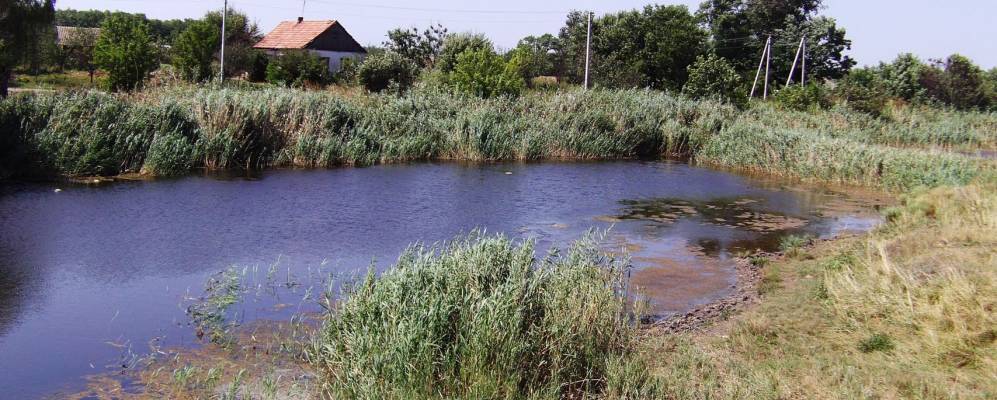 
            Фотография Сосновки