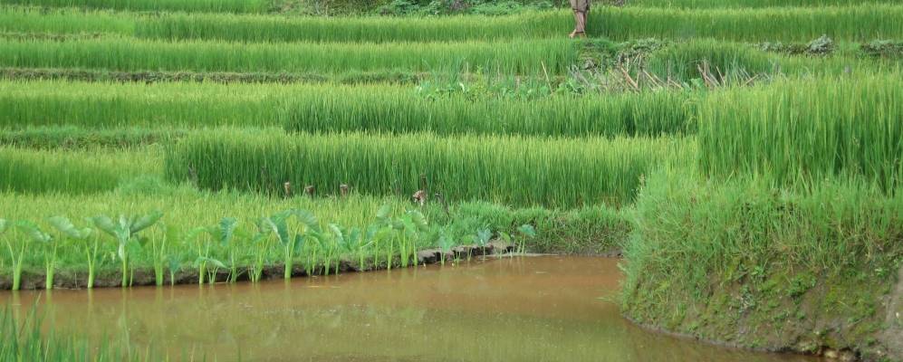 Фотография Юаньян