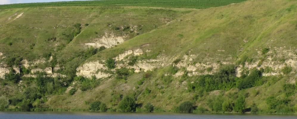 
            Фотография Кизи-Кудринецкой