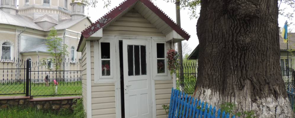 
            Фотография Молодкова