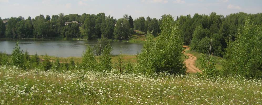 Фотография Паньшонок