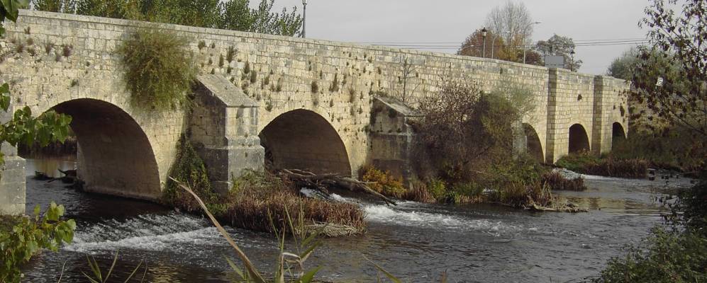 
            Фотография Вильямурьел де Серрато