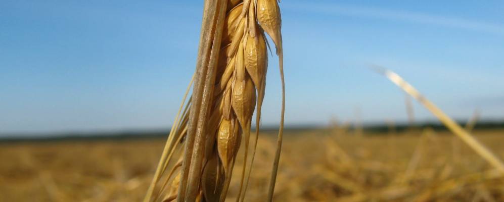 
            Фотография Дмитриевки