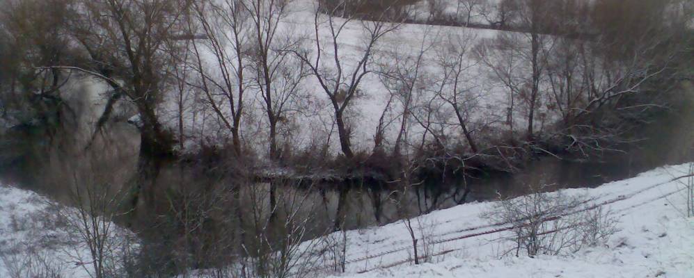 
            Фотография Лучки