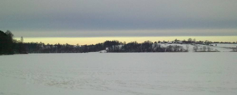 
            Фотография Новой Жизни