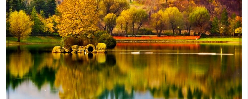 
            Фотография Виккьо