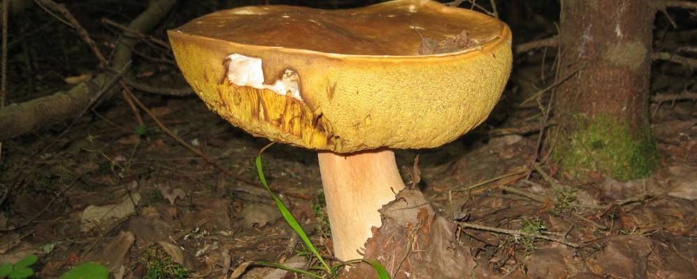 
            Фотография Щеколова