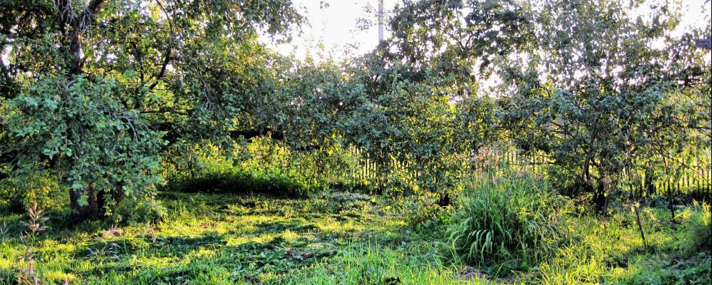 
            Фотография деревни Амфилаты