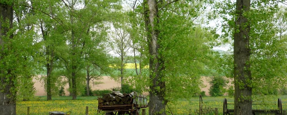 
            Фотография Айтерфельда