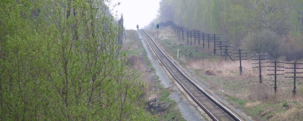 Фотография Кашино