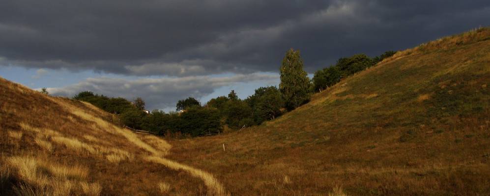 
            Фотография Клочки