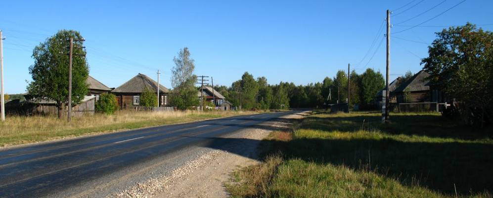 Фотография Слонихи