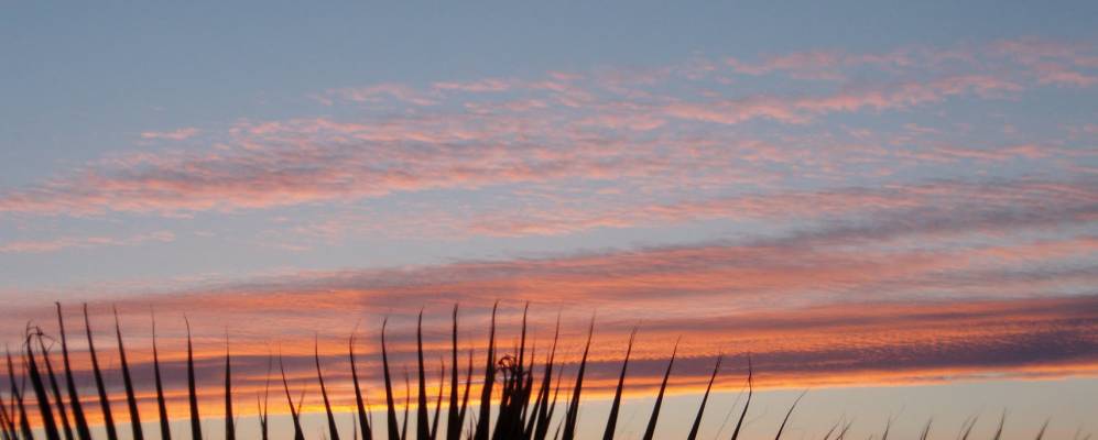 
            Фотография Альгаиды