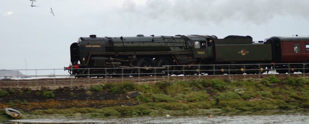 
            Фотография Старкросса