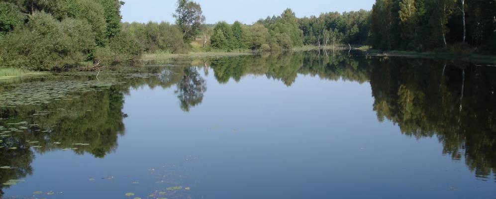 Фотография Белоруса