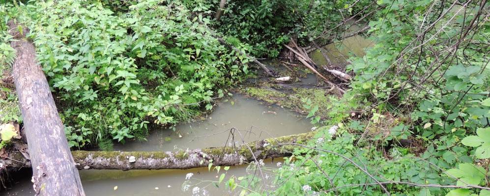 
            Фотография Полушина