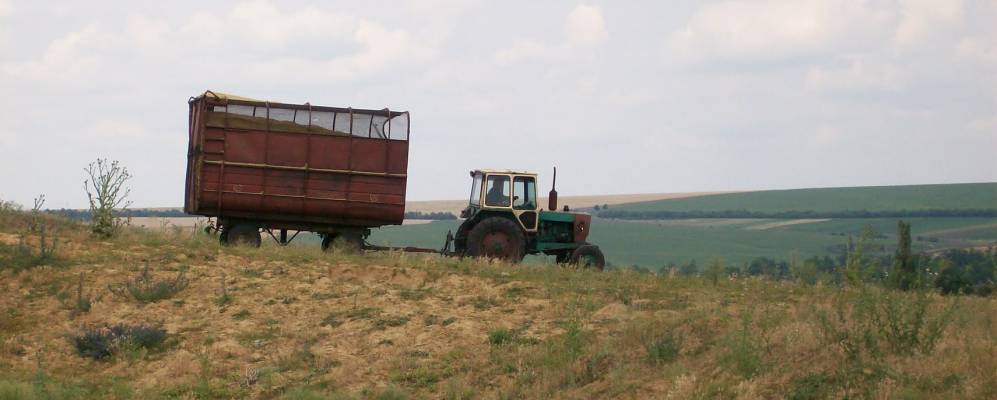 
            Фотография Левадовки
