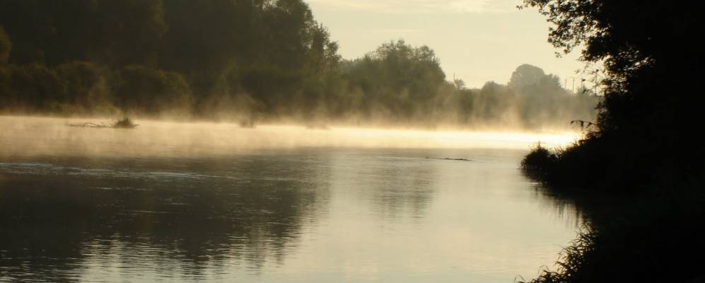 
            Фотография Орлов