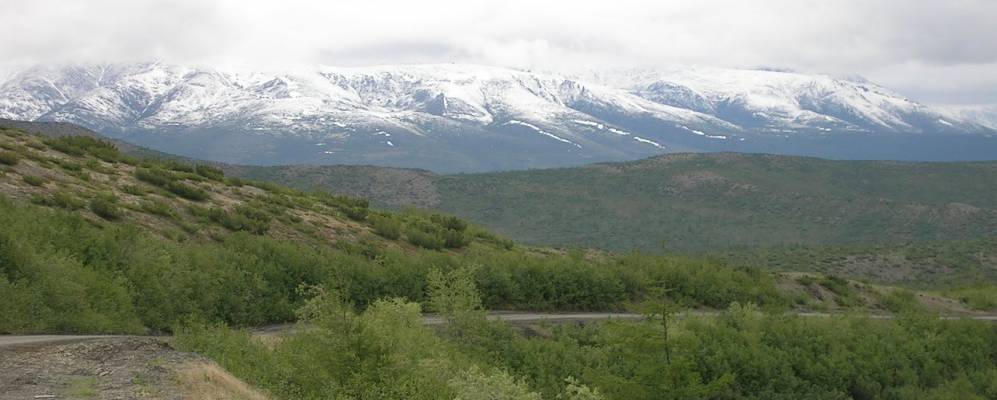 
            Фотография Штурмового