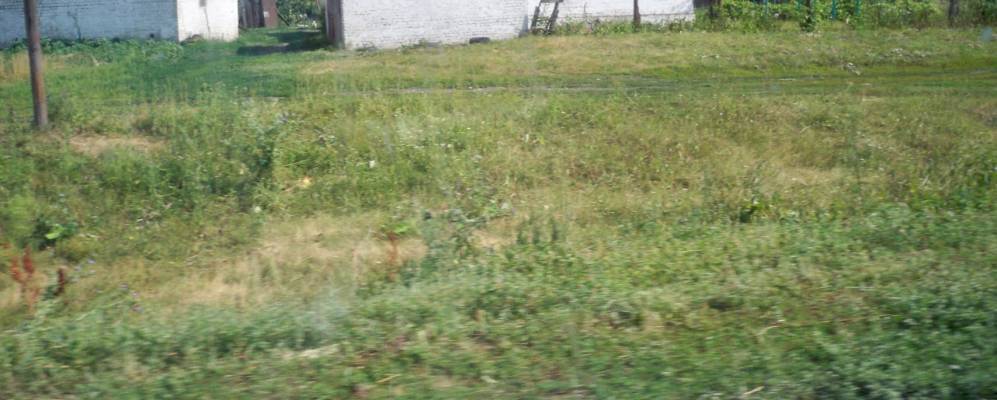 
            Фотография Новочеркутино