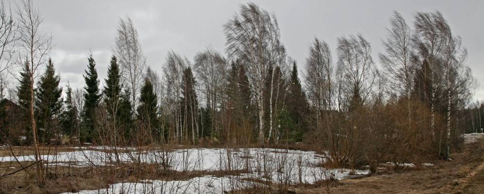 
            Фотография Дедовца