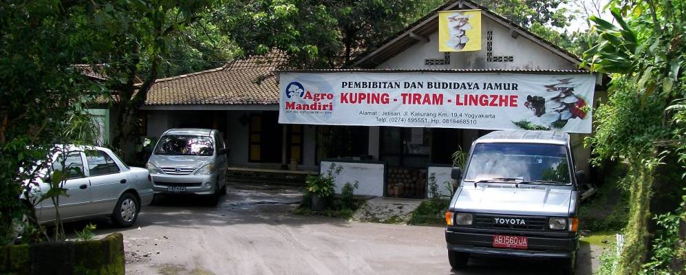 
            Фотография Pakem