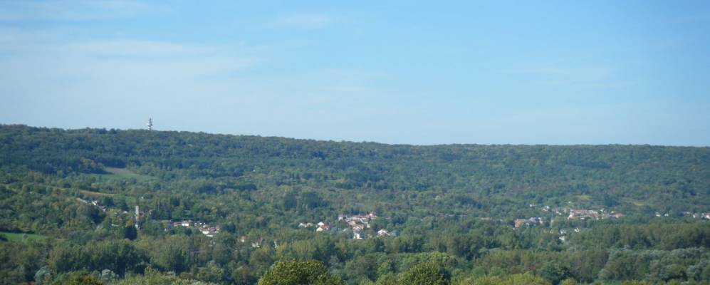 
            Фотография Корни-сюр-Мозеля