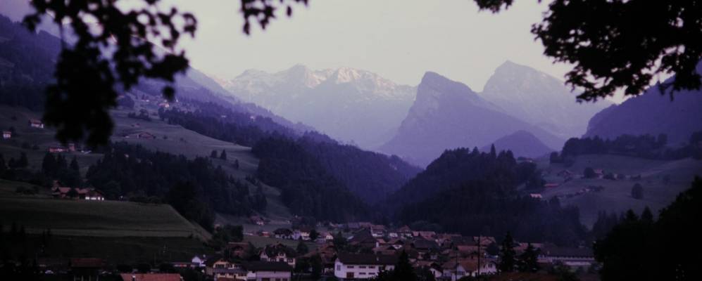 
            Фотография Оей