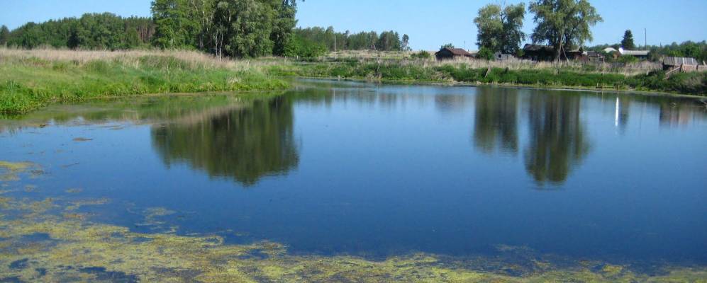 
            Фотография Ордины