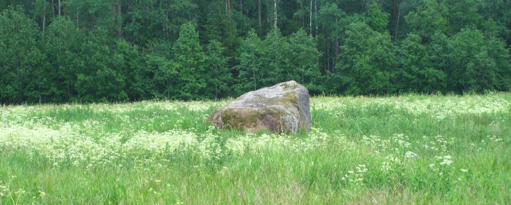 
            Фотография деревни Малые Слудицы