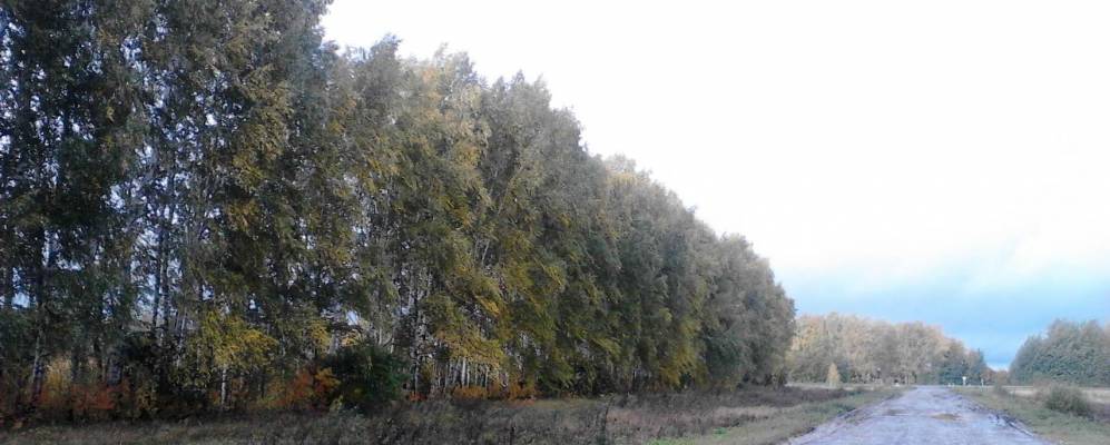 
            Фотография Шереметьево