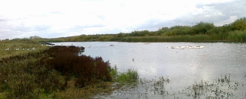 
            Фотография Кулевчей