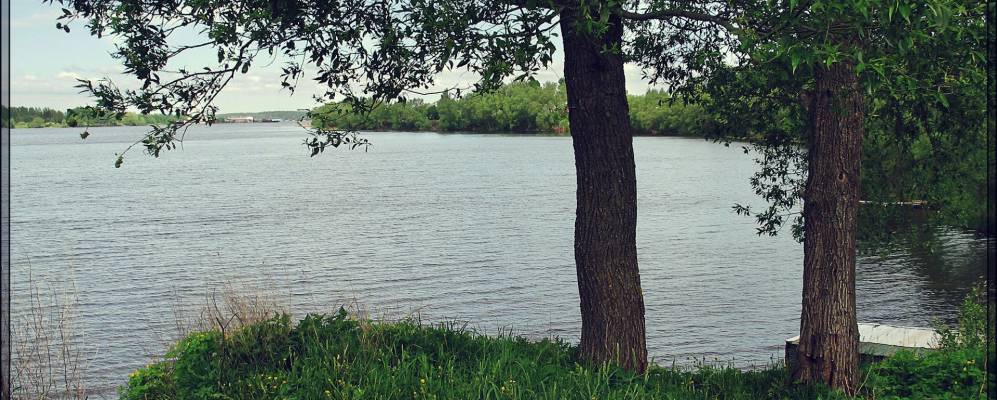 
            Фотография Сидоровского