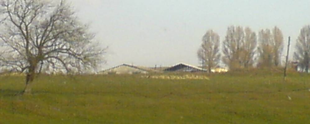 
            Фотография Таурова