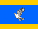 Флаг Скопина