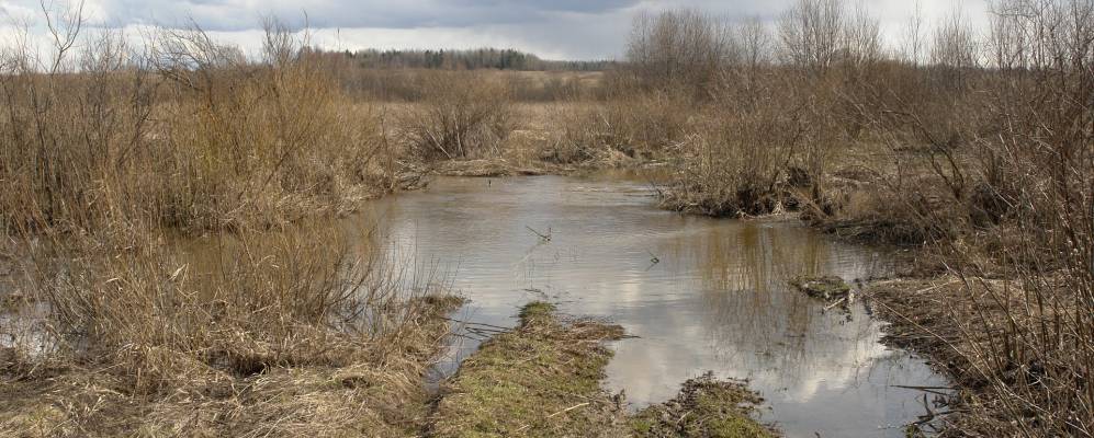 
            Фотография Сельцо