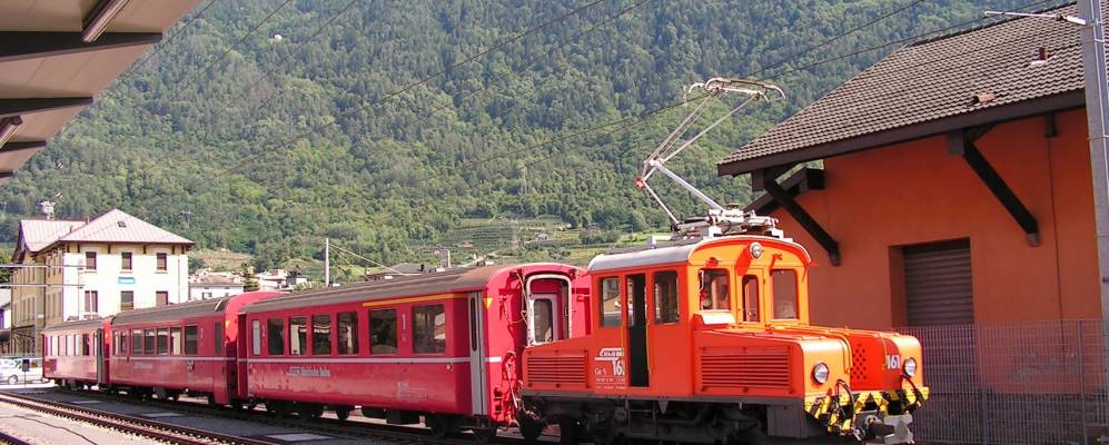 
            Фотография Тирано