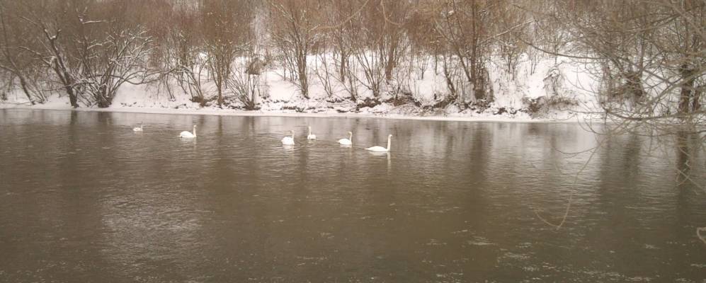 
            Фотография Подпилипье