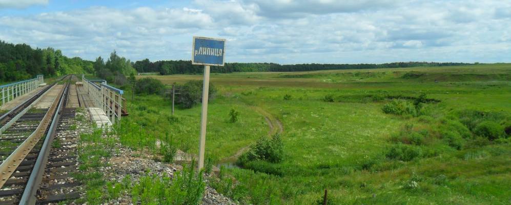 Фотография Крапивья