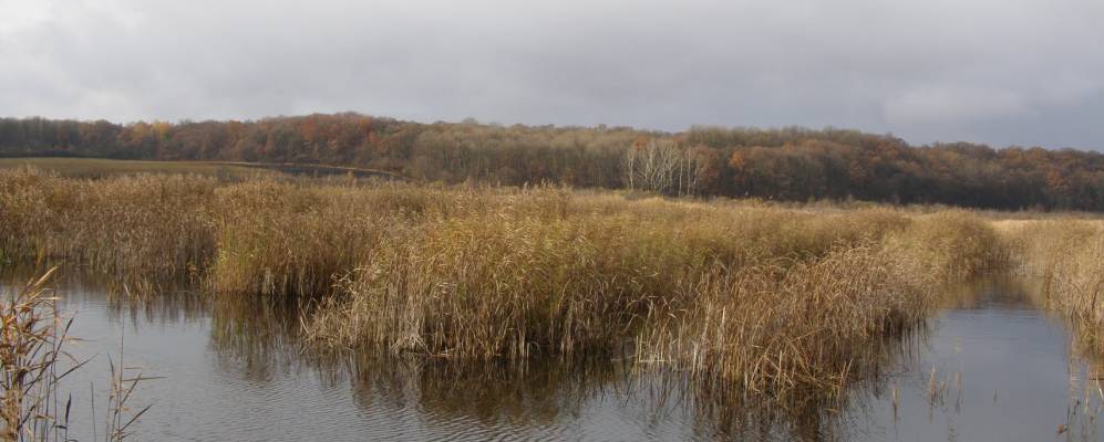 
            Фотография Татаринцы