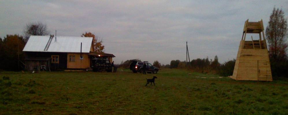 
            Фотография Дикого