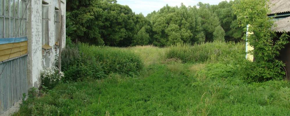 
            Фотография Глуховки