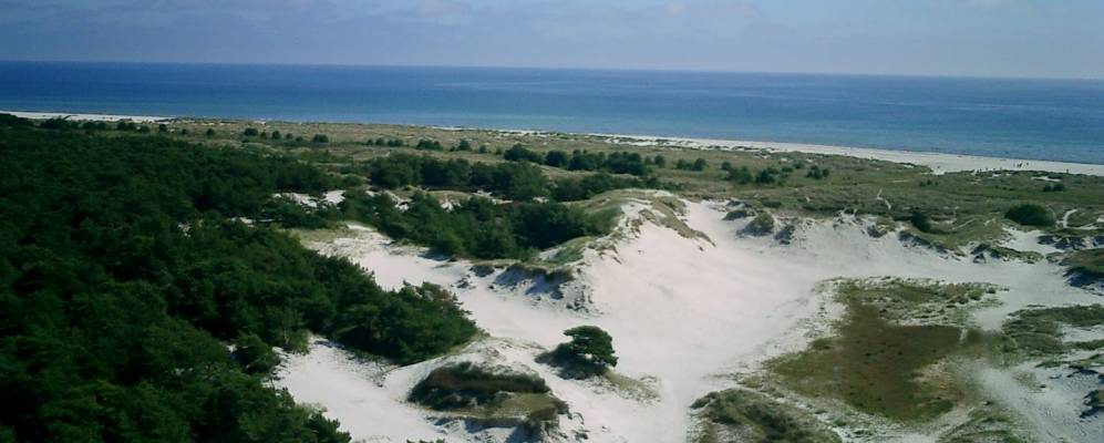 
            Фотография Бедегорда