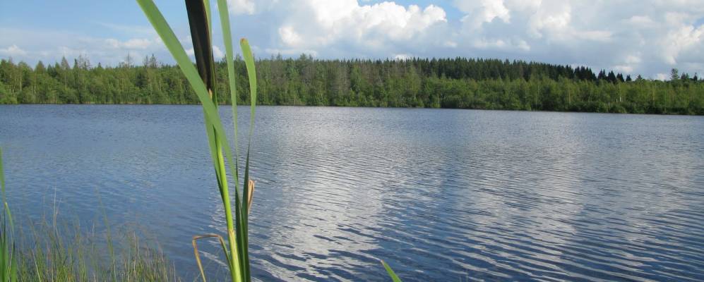 Фотография Папино