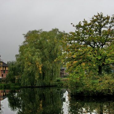 Хенштедт-Ульцбург