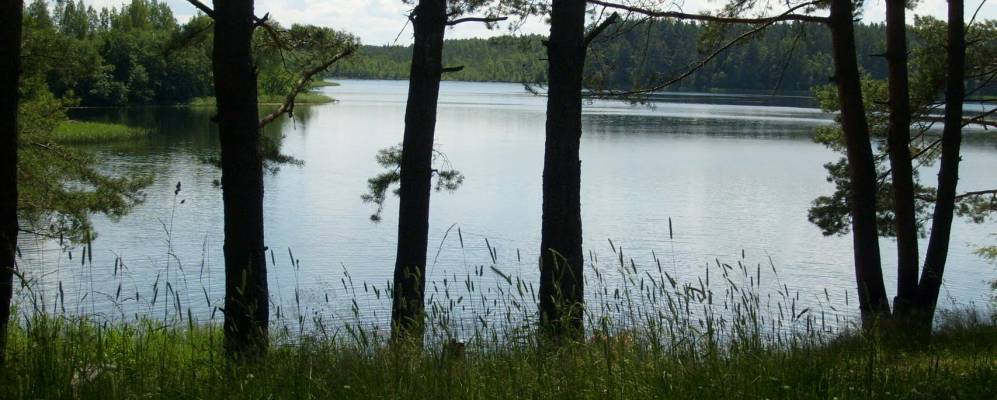 
            Фотография Синичкино