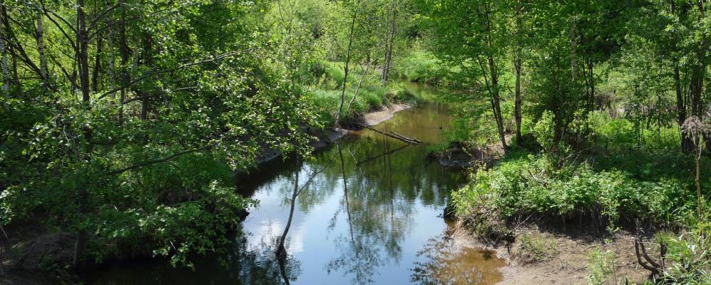 Фотография Тутыг