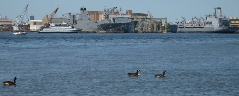 
            Фотография Нешенл Парка