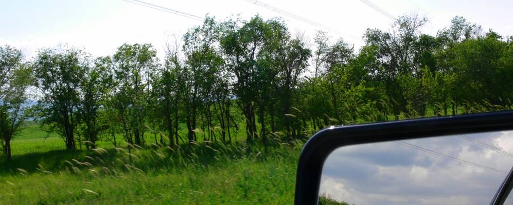 
            Фотография Жанауйыма