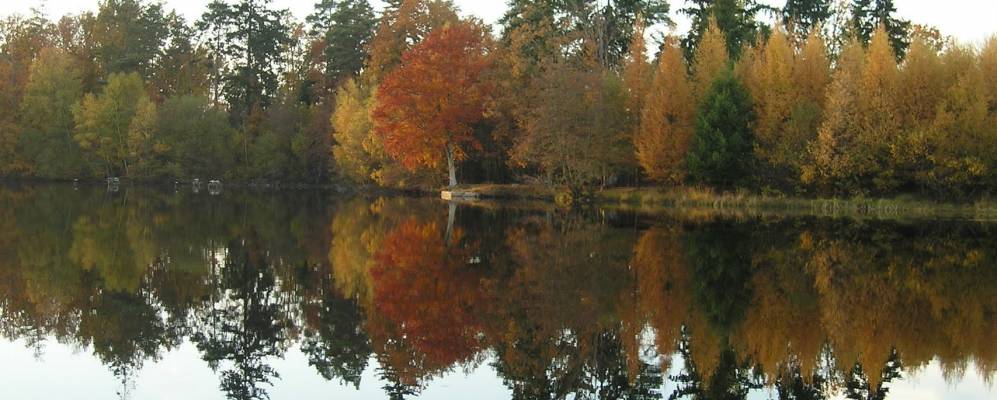 
            Фотография Феити